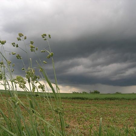 Agroturystyka Kalina Wielka Bagian luar foto
