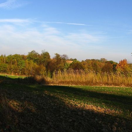 Agroturystyka Kalina Wielka Bagian luar foto