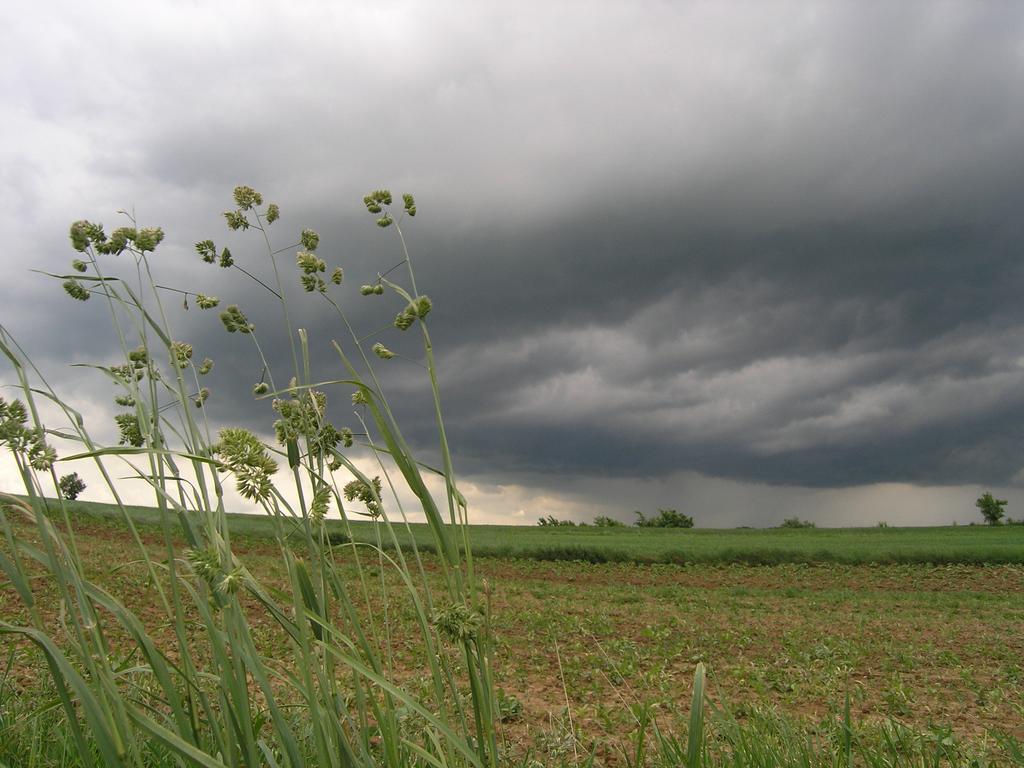 Agroturystyka Kalina Wielka Bagian luar foto