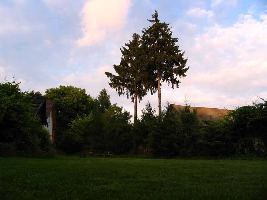 Agroturystyka Kalina Wielka Bagian luar foto